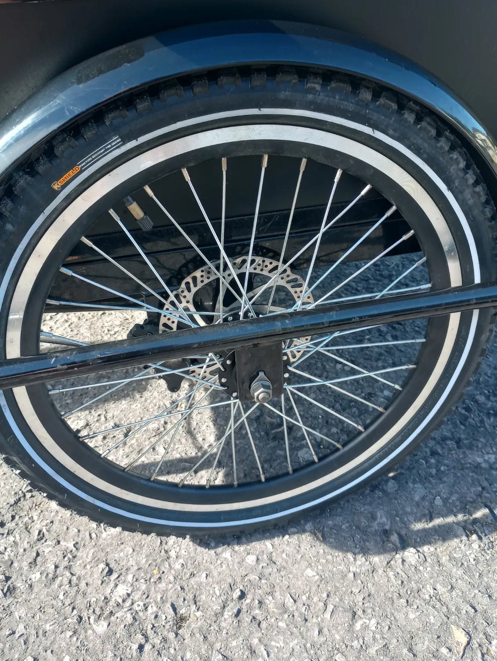 Amcargo Deluxe 2024