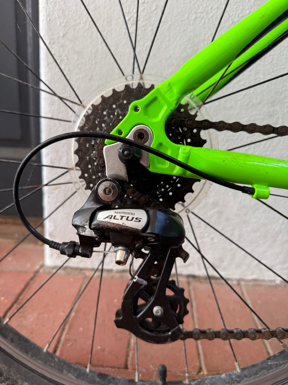 Frog 73 2023