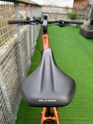 Raleigh Trace 2023