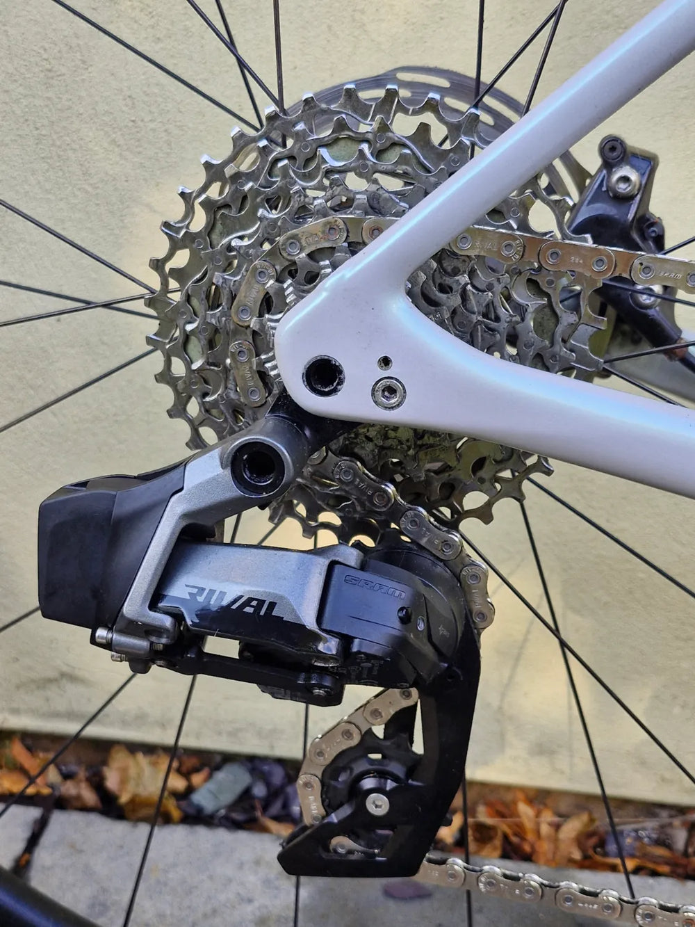 Specialized Roubaix SL8 Expert 2024