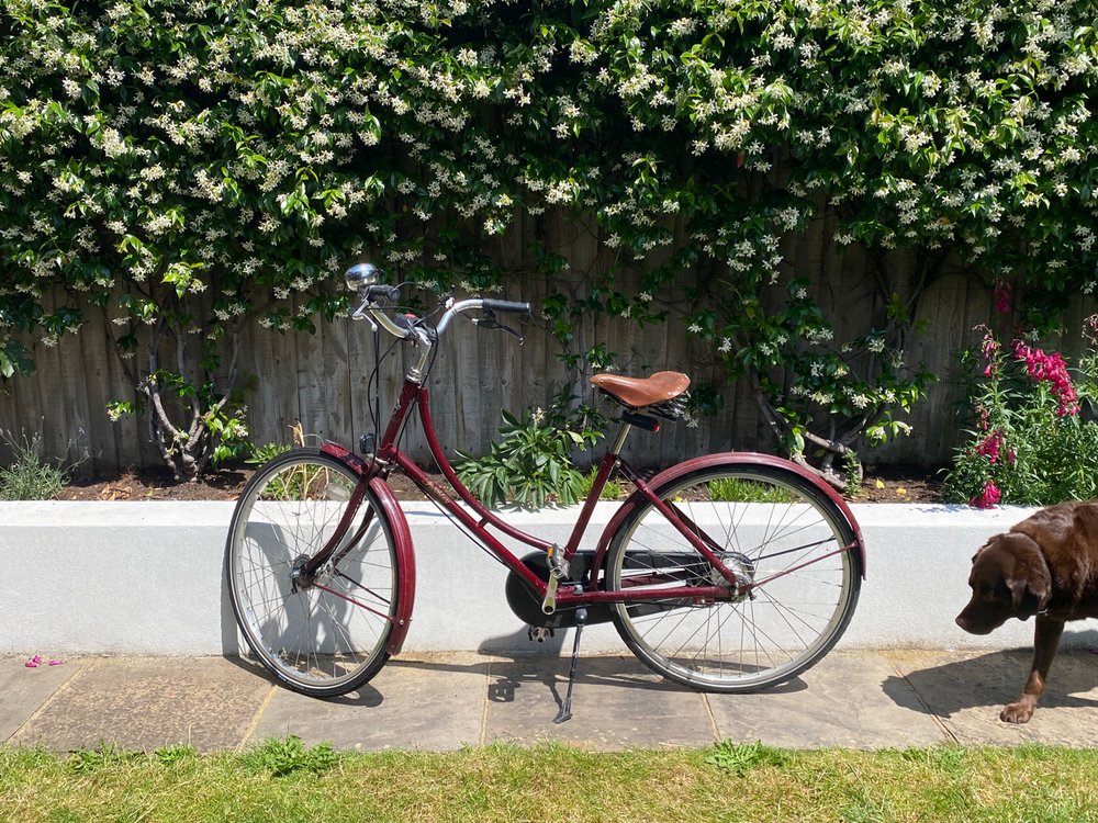 Pashley Princess 26 Sovereign 5 Speed 2016
