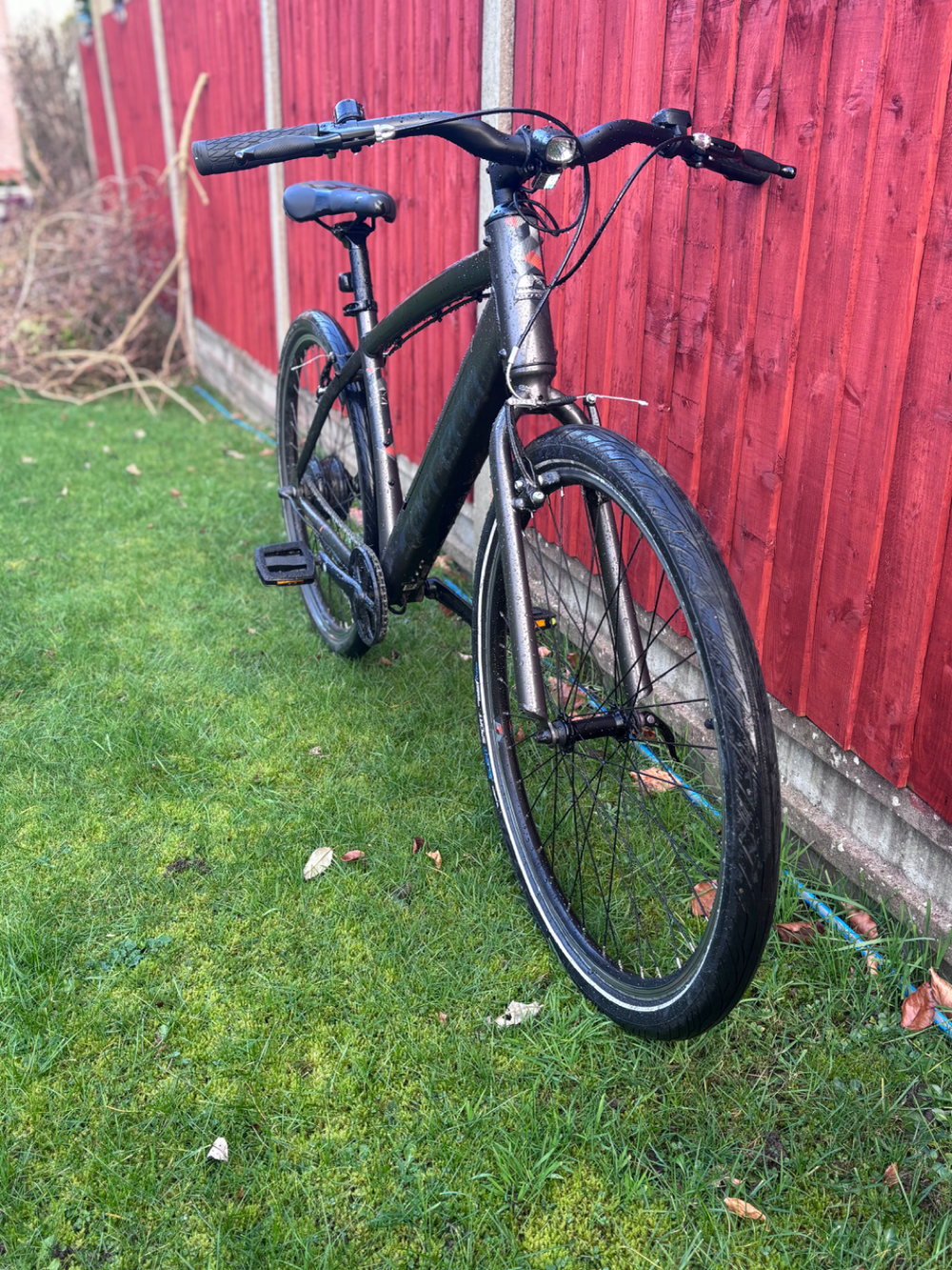 Carrera impel im 2024