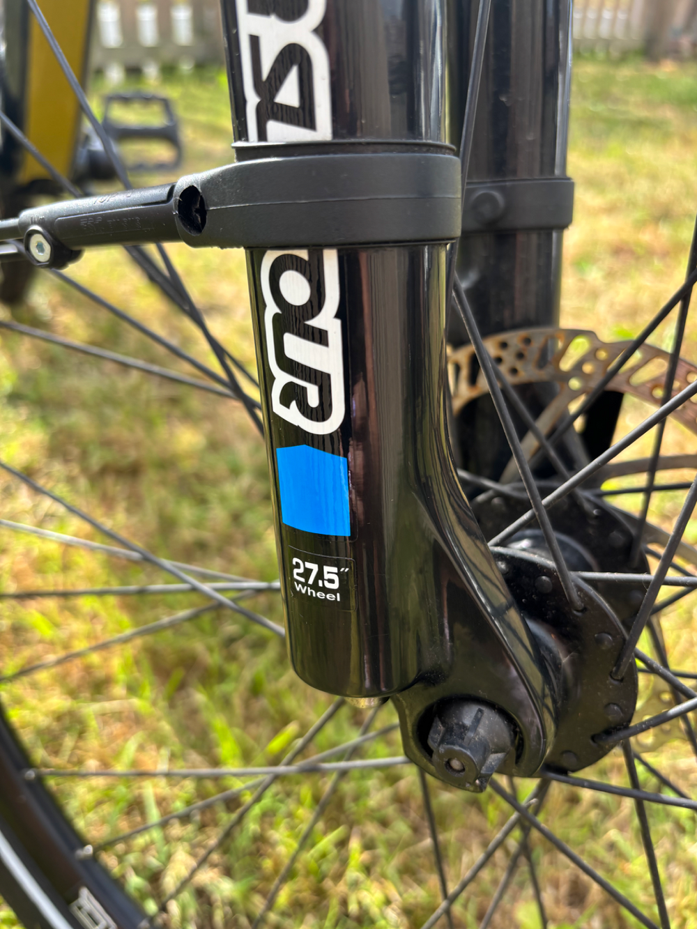 Volt Pulse Ls 2024