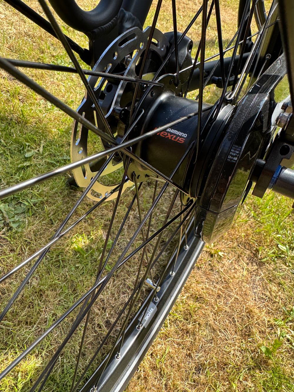 Gazelle Paris C7 HMB Low-Step 2023