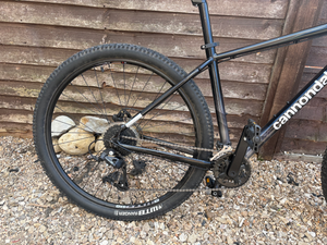 Cannondale Trail 7 2021