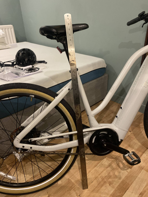 Momentum Transend E+ 2024
