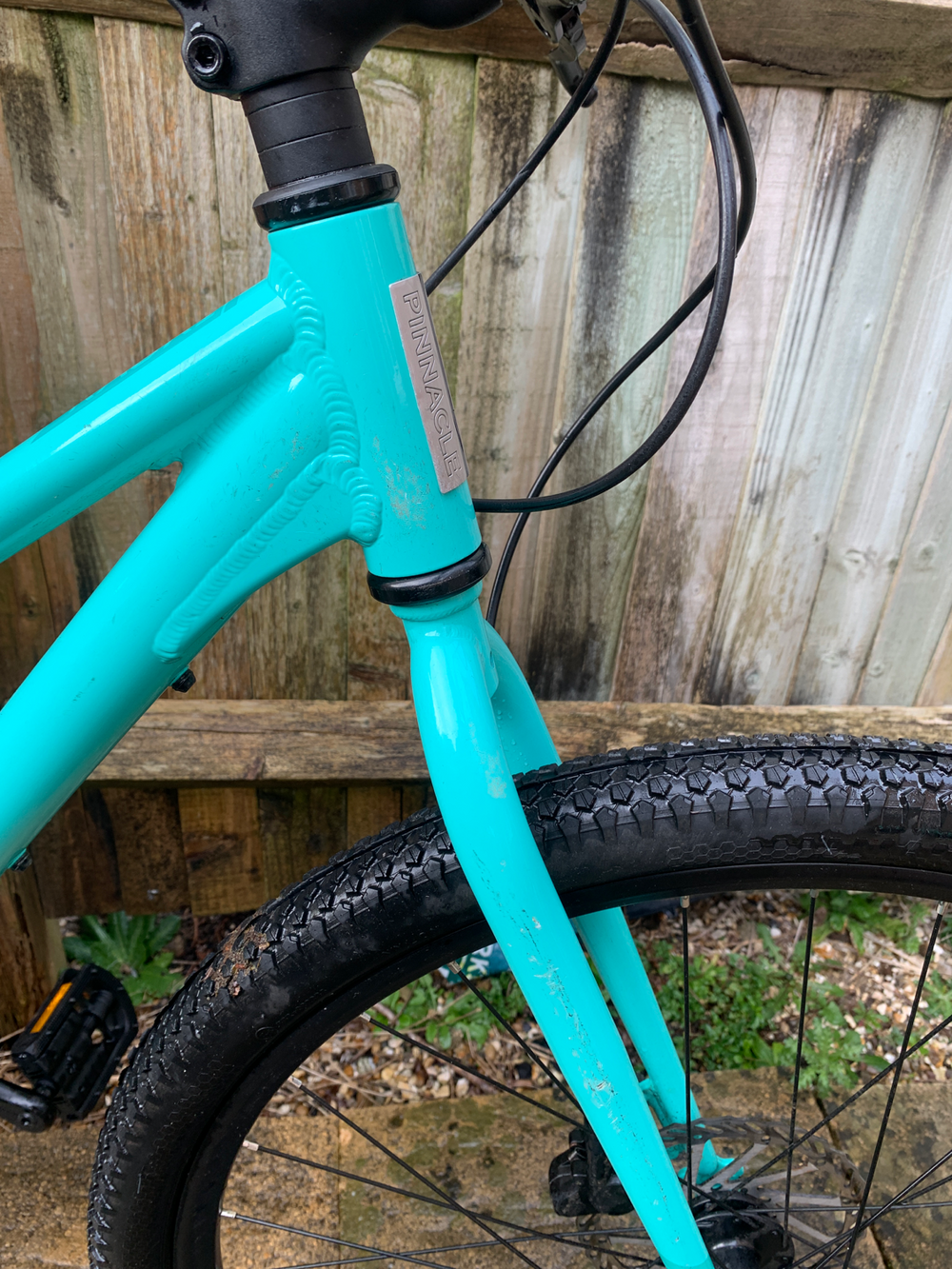 Pinnacle Kauri 2022