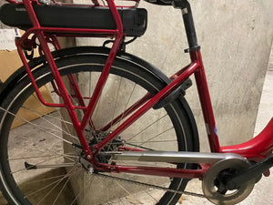 Ridgeback Electron Plus 2016