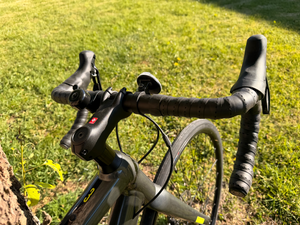 Trek Domane AL 3 Disc 2022