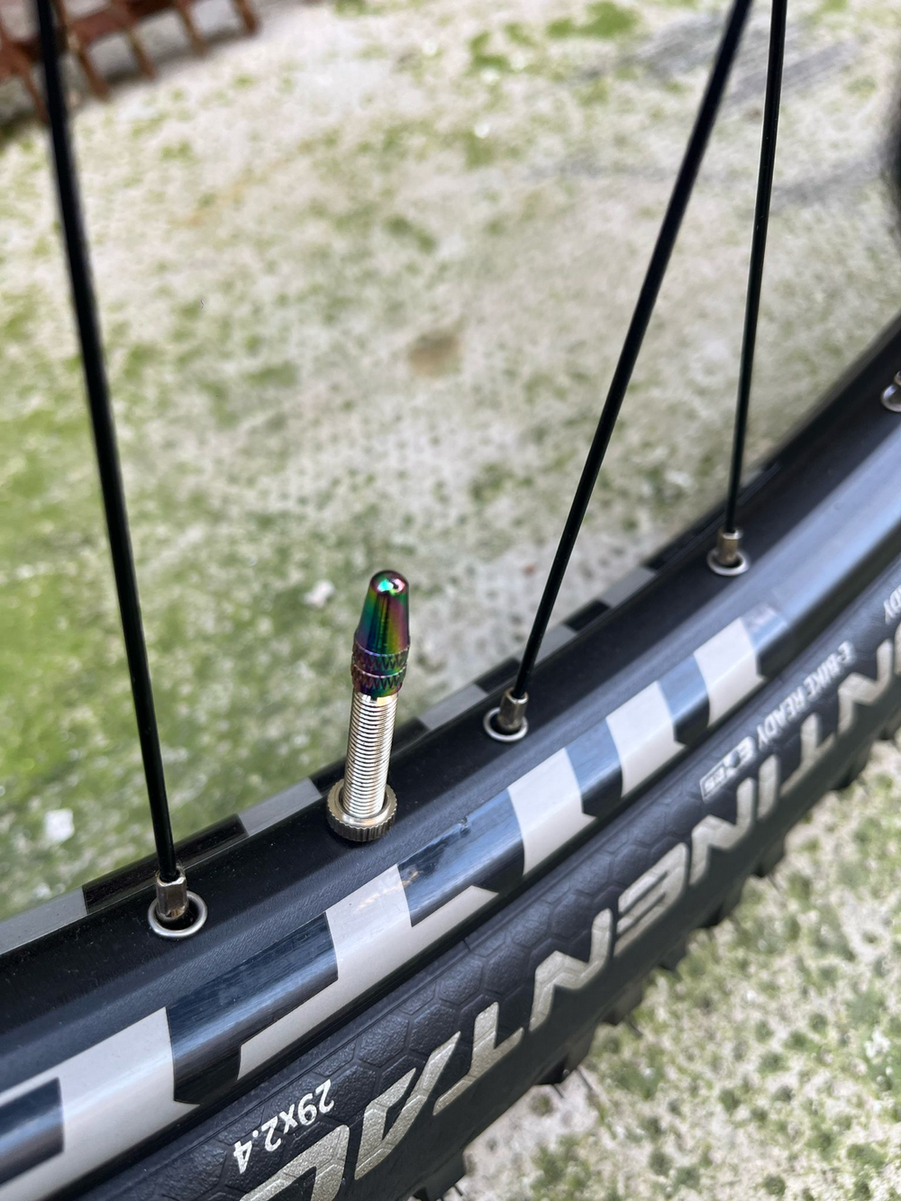 Voodoo Canzo Pro 2025