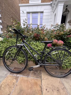 Trek FX1