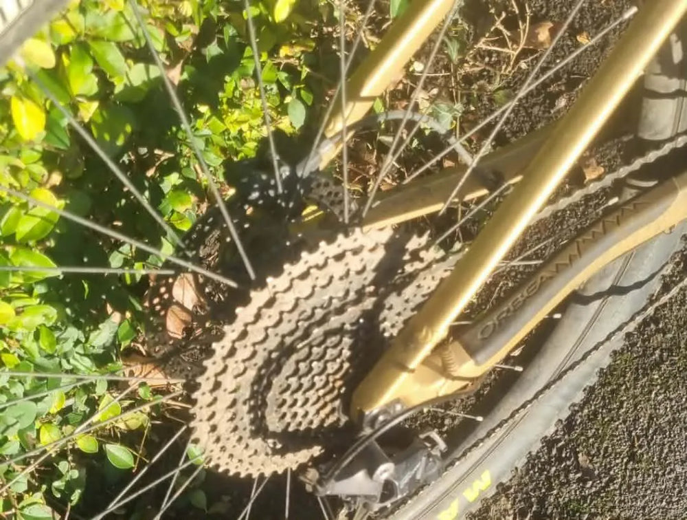 Orbea LAUFEY H30 2023