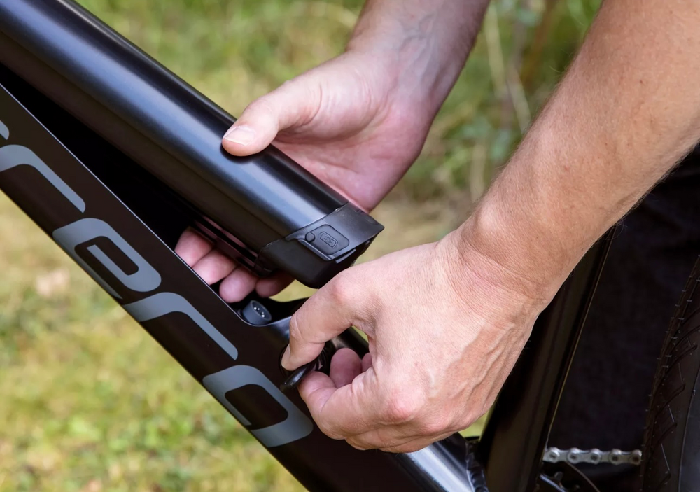 Carrera impel im 2022