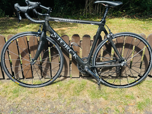 Storck scenario 1.1