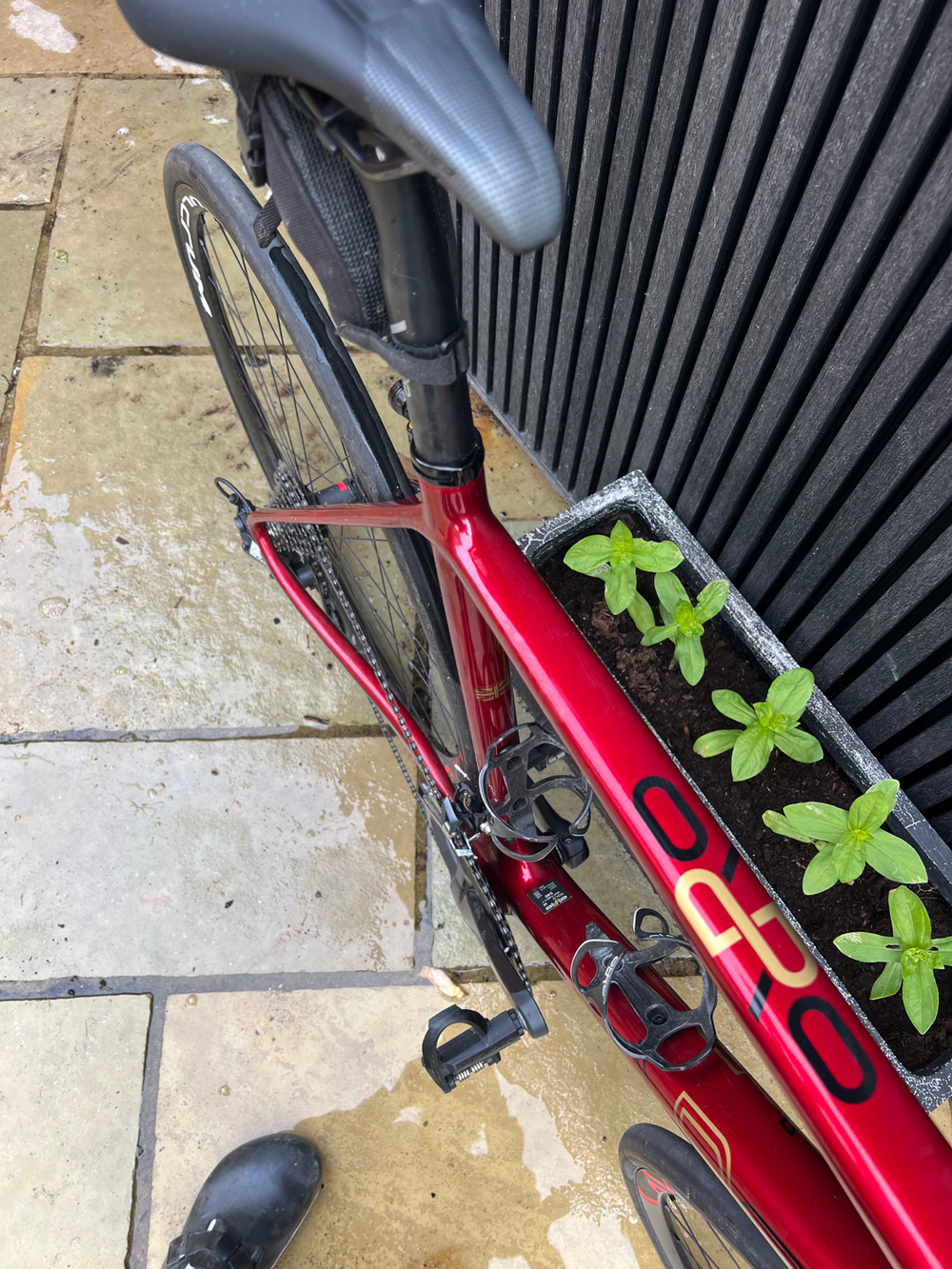 Orro Gold STC Disc Ultegra 2021