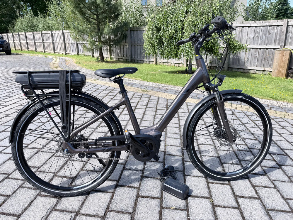 Giant ENTOUR E+ 1 NEXUS ELECTRIC BIKE 2020