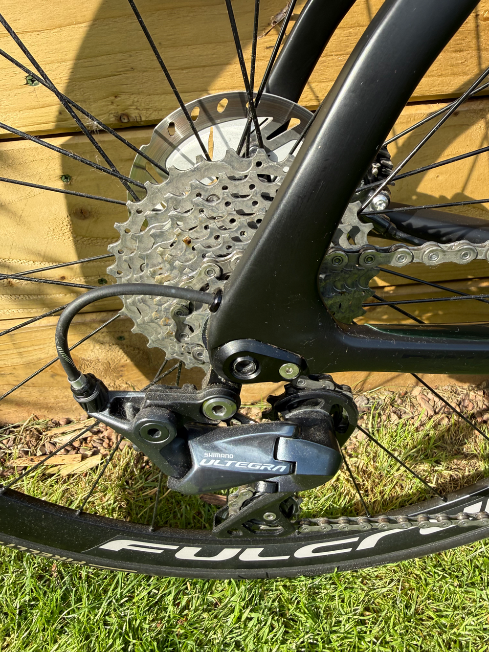 Pinarello Ultegra disc 2023