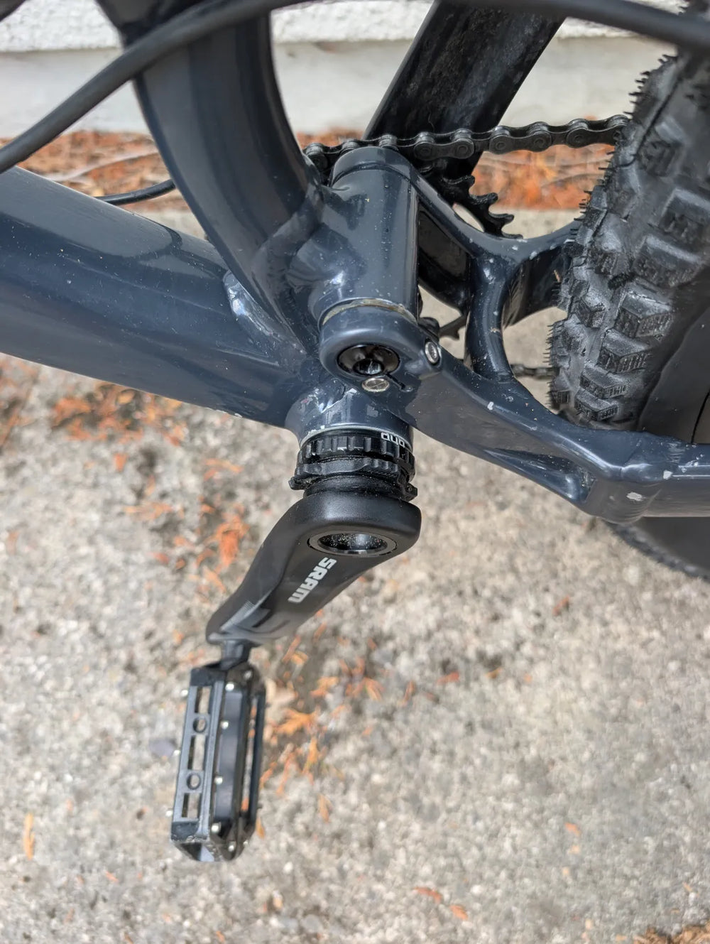 Calibre  Sentry 2019