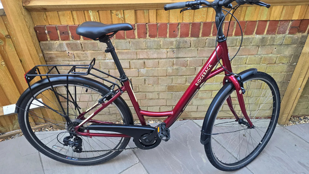Ridgeback Avenida 6 2025