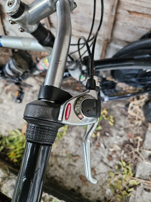 Trek Alpha