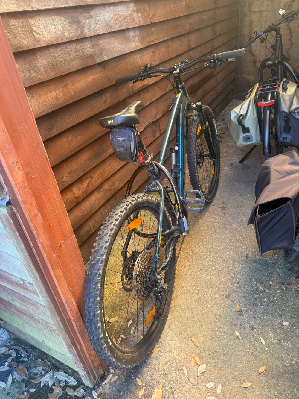Kona Cinder Cone 2023