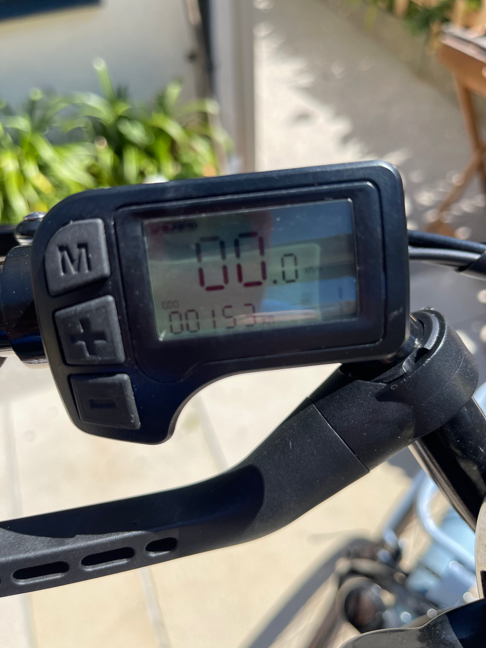 MBM Pulse 2023