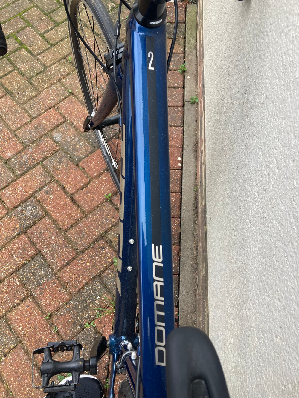 Trek Domane AL 2 Rim 2024