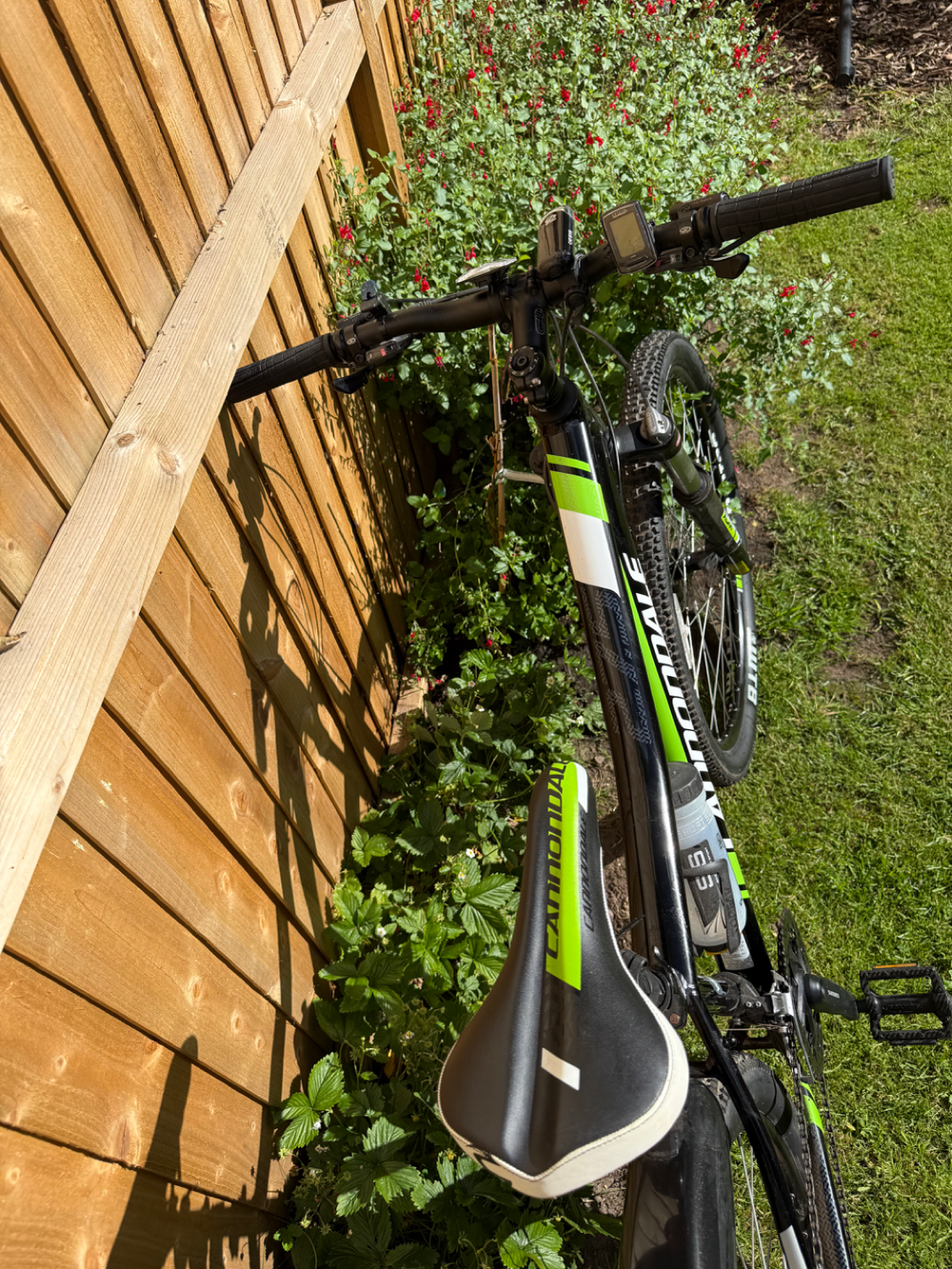 Cannondale Tango 5 2016