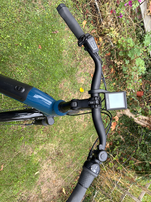 Raleigh Motus Grand Tour Hub Gear Low Step 2025