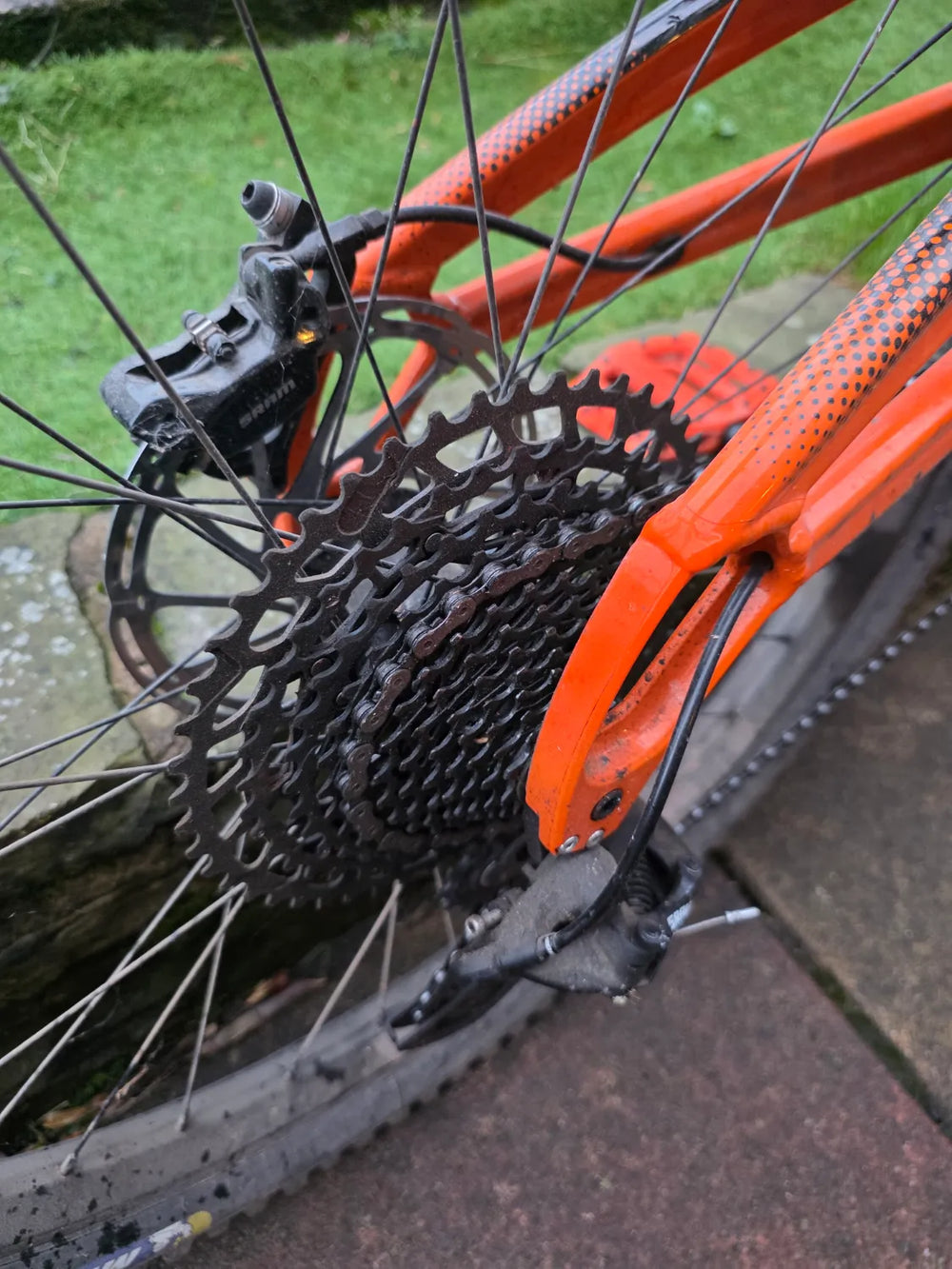 Orange Five Evo S 2022