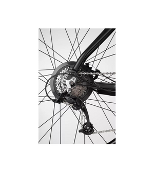 Carrera Carrera Vengance 2.1 L Frame 2025