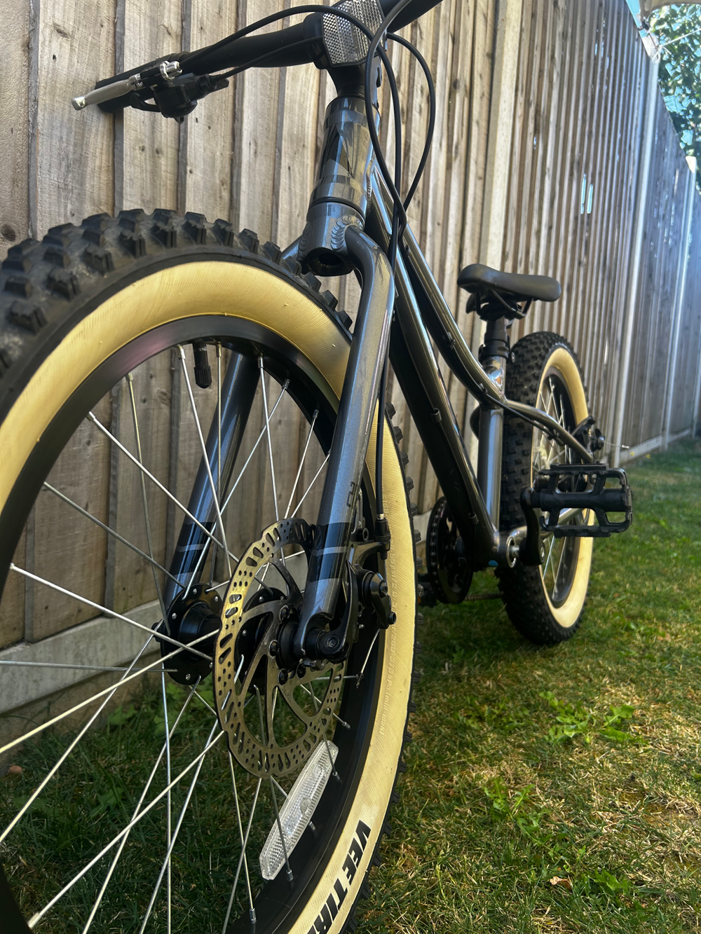 Vitus 20 Plus 2019