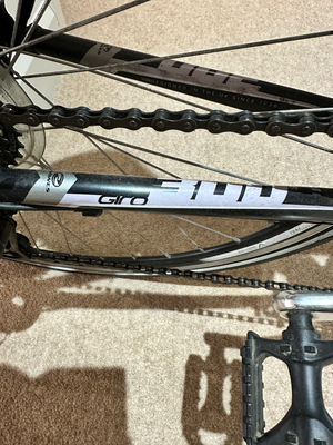 Dawes Giro 300 2010