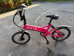 Mate City 250W 2022
