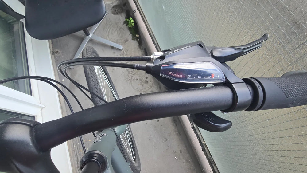 Raleigh Detour 1 2021