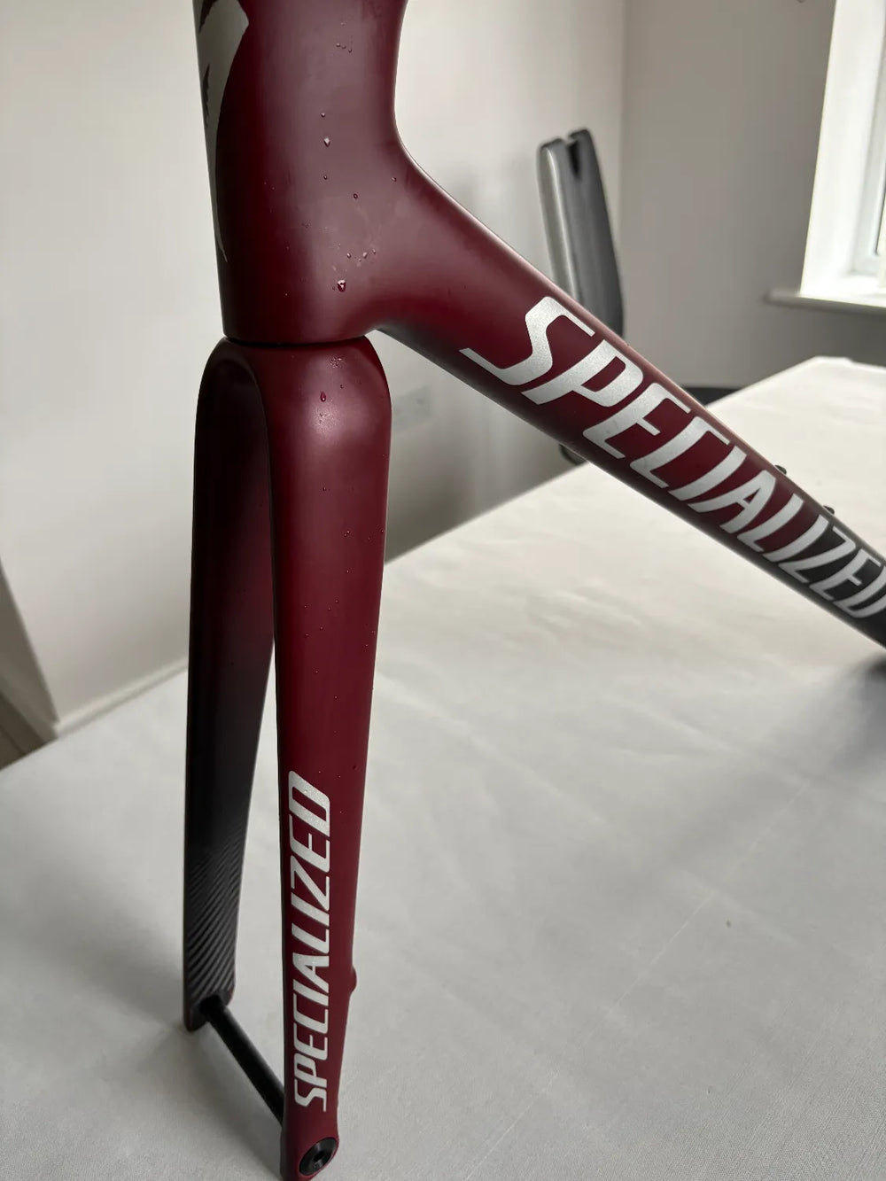 Specialized Tarmac SL7 Frameset 2023
