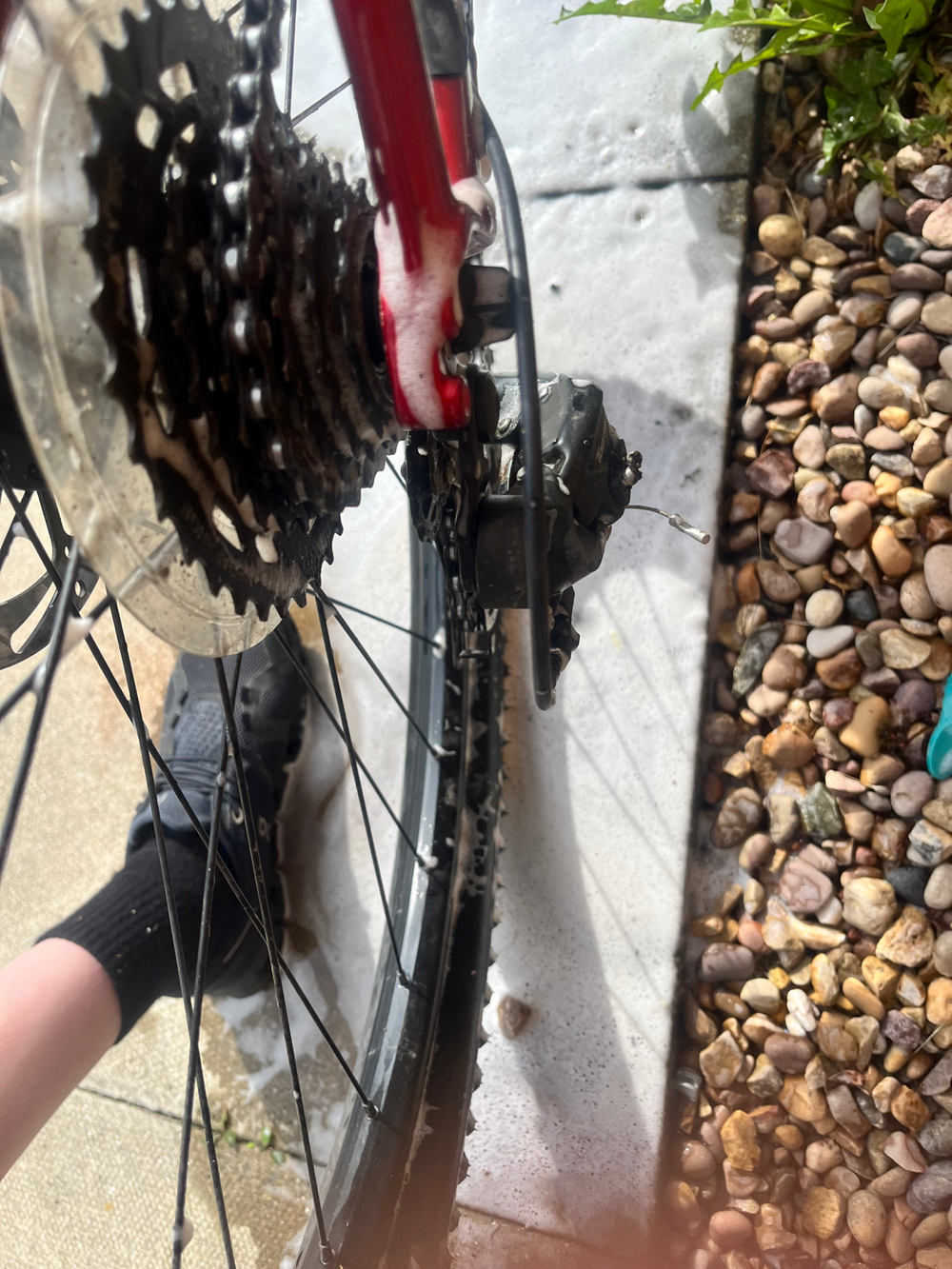 Trek Marlin 4 2025