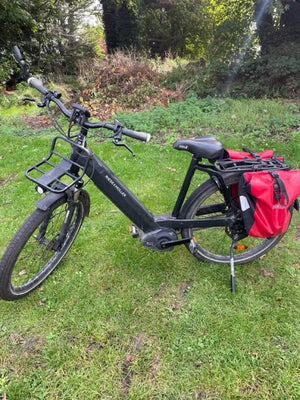 Riese & Muller GX Rohloff 2019
