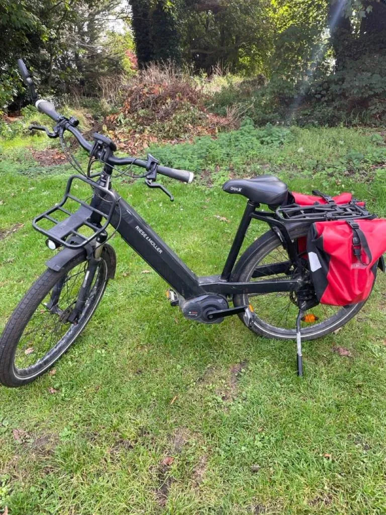 Riese & Muller GX Rohloff 2019