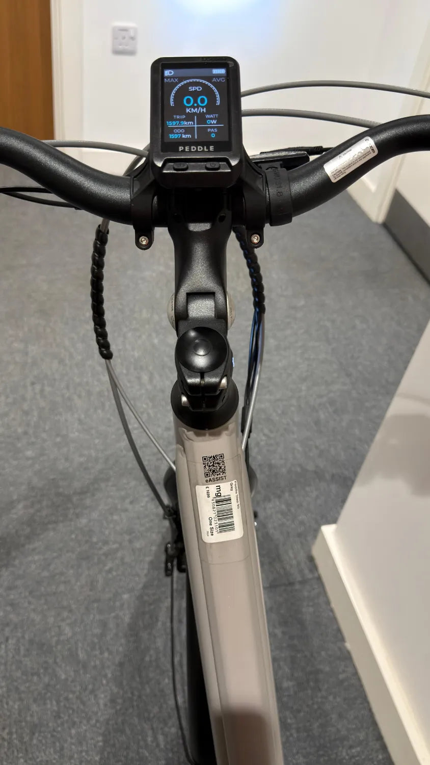 Peddle Step 2024