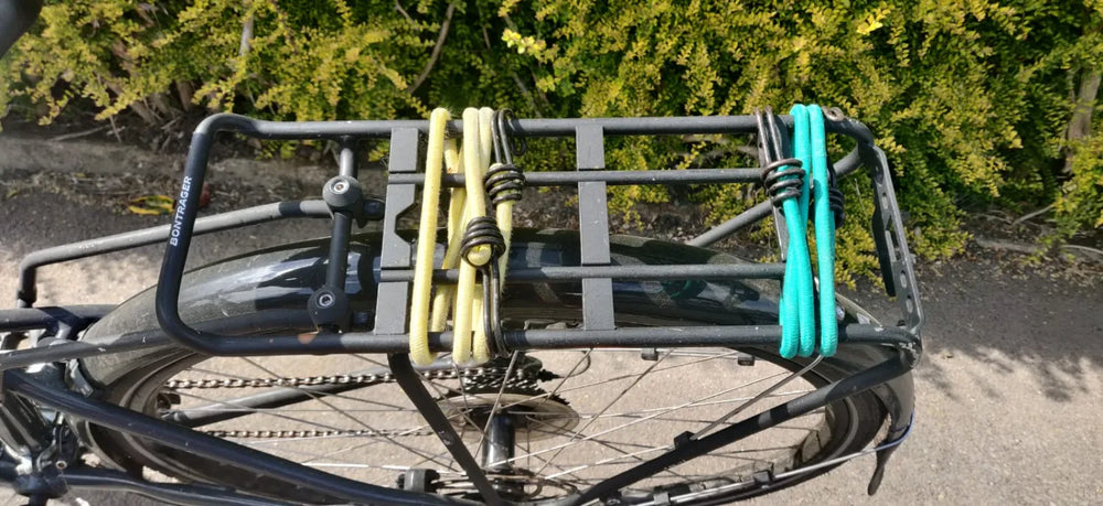 Trek FX 1 Disc 2021
