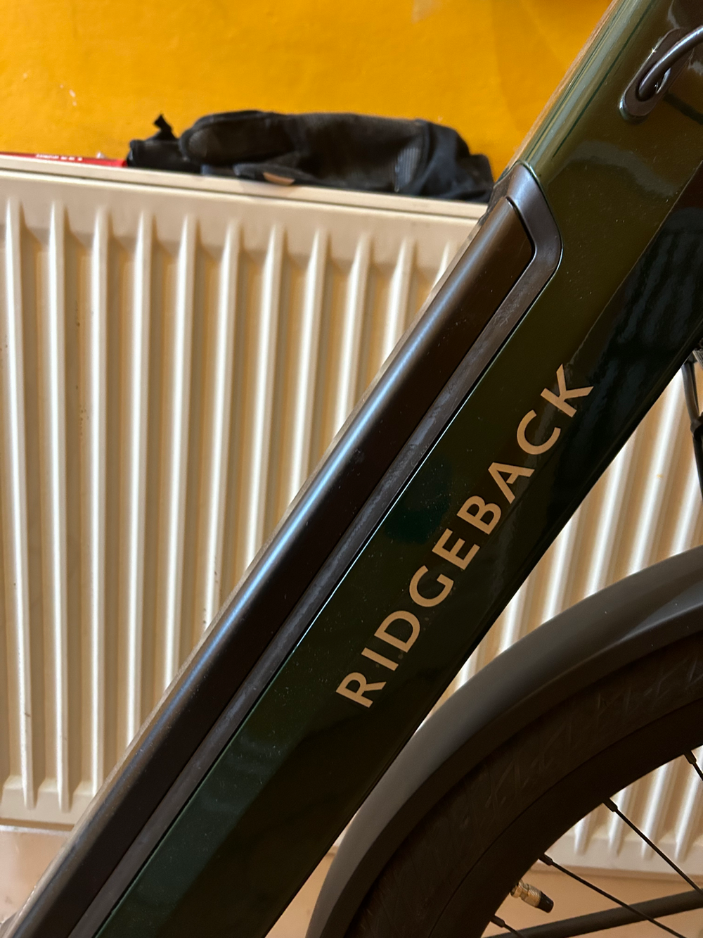 Ridgeback Electron INT 2024