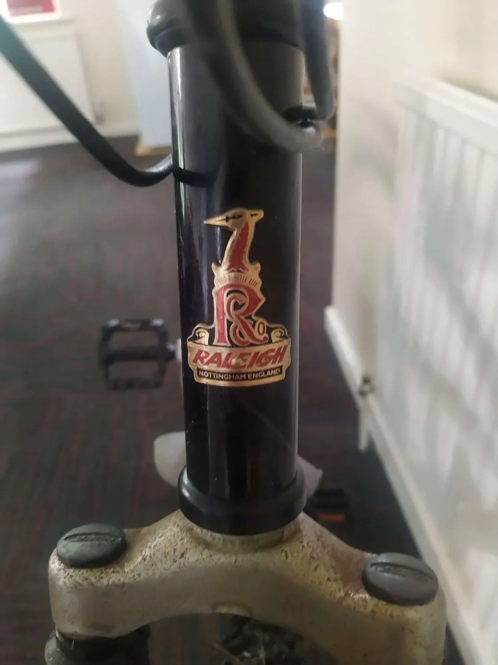 Raleigh Dorado 1999