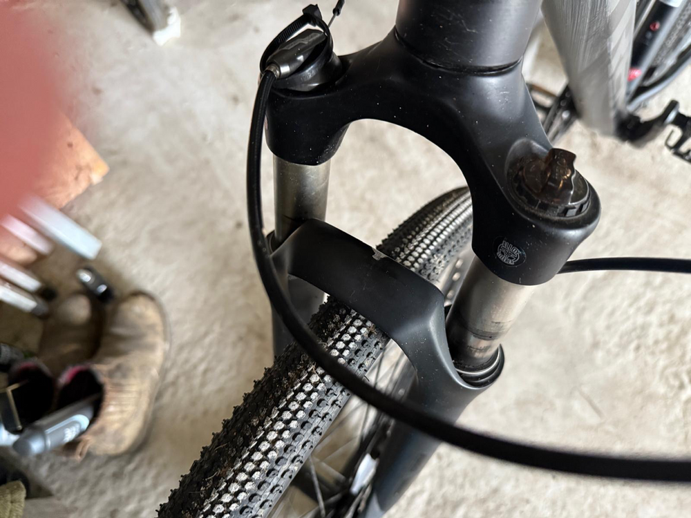 Trek Dual Sport 4 2021