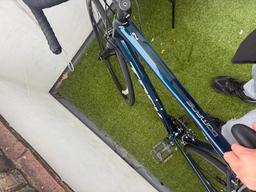 Trek Domane AL 2 Gen 4 2024