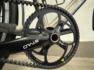 Van Nicholas Amazon Rohloff Speedhub 14-spd belt 2018