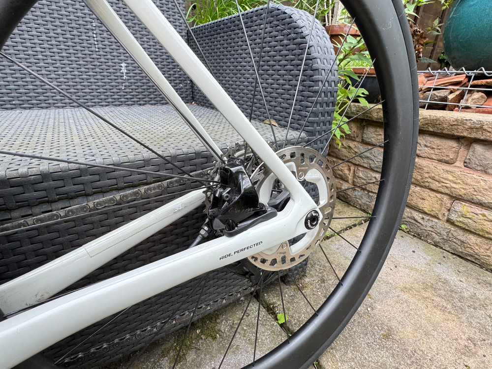 Basso Venta 2024