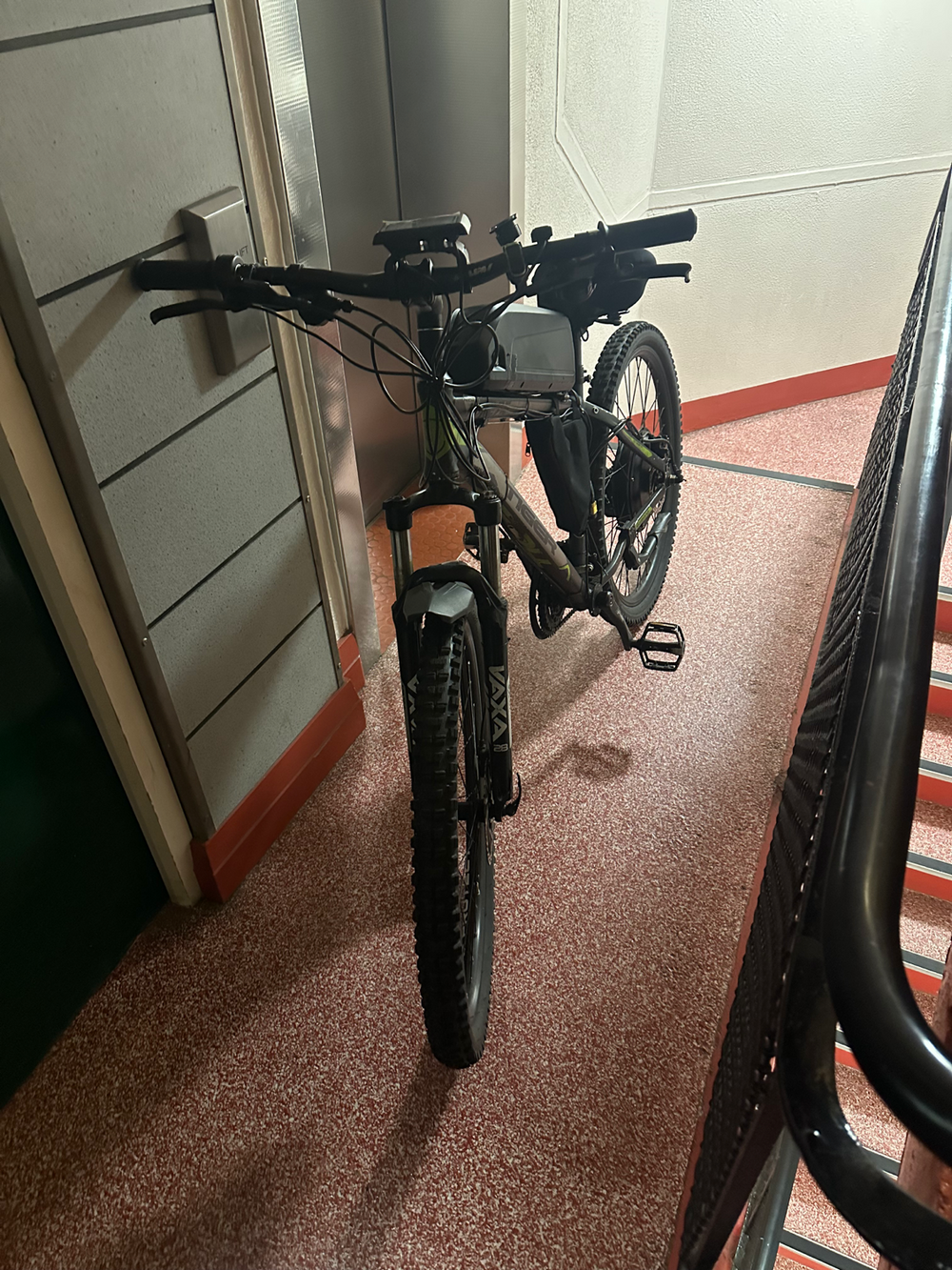 Tiger Electric bike 2018