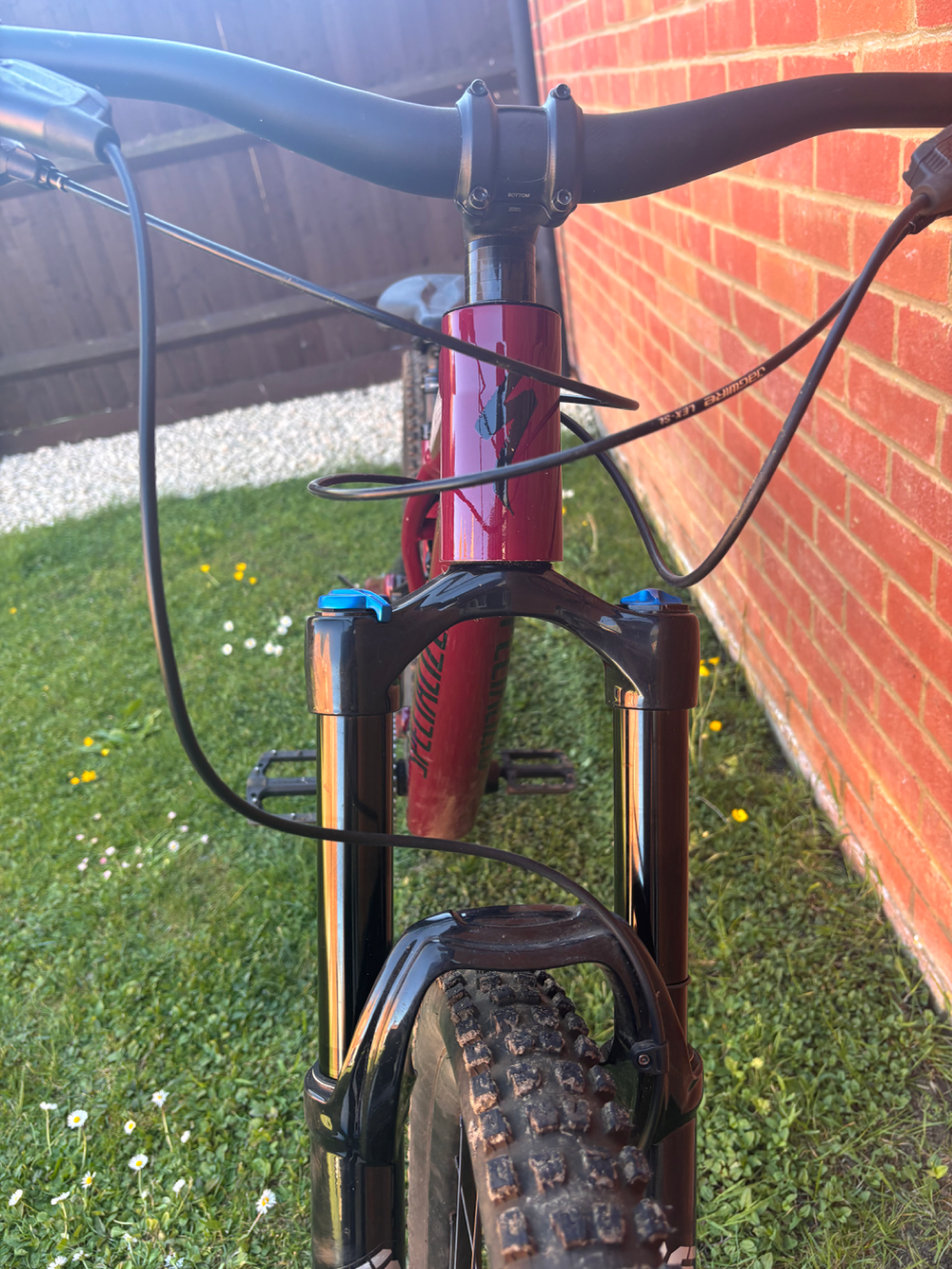Specialized Stumpjumper EVO Comp Alloy 2023