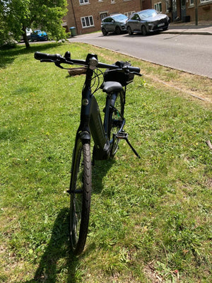 Gazelle Ultimate C8+ HMB Belt Low-Step 2022